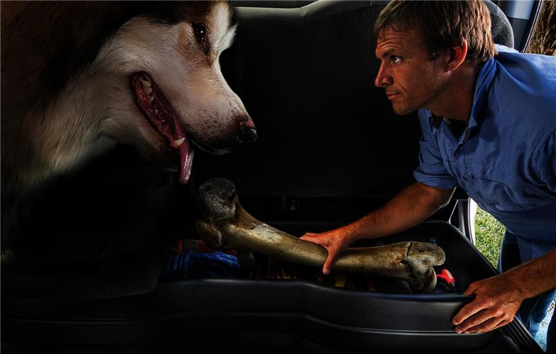 Husky Liners 09-12 Ford F-150 SuperCrew Cab Husky GearBox (w/ Factory Subwoofer) - Image 3